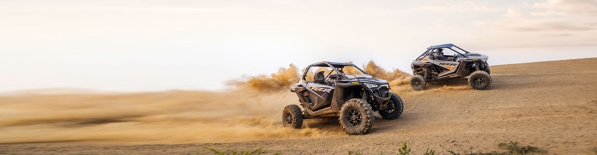 Rzr PRO XP
